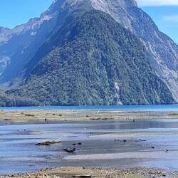 Am Milford Sound