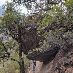 100 Kilo Hantelbank safe