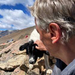 Wem gehört nur der Hund? Das Mitführen von Hunden ist im Park nicht erlaubt.