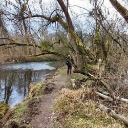 Sensationelle Singletrails!