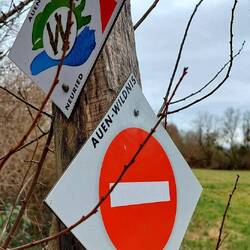 Der Auen Wildnis Pfad ist eine Einbahnstraße!