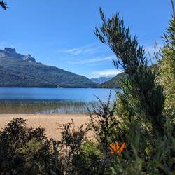 Lago Falkner