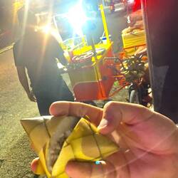Riso cotto avvolto in foglie di palma