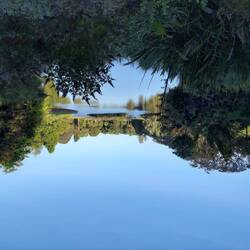 suǝpɹɐ⅁ ɔᴉuɐʇoꓭ ʅɐʎoꓤ