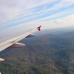 Lush land in South Thailand.