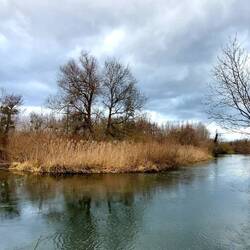 Im wunderbaren Auenwald!