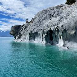 Ein Hundekopf am linken Bildrand