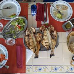 Fish Lunch of sea bass and sea bream
