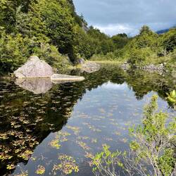 Wanderweg durch die Natur