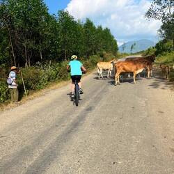 Vietnamese traffic calming devices