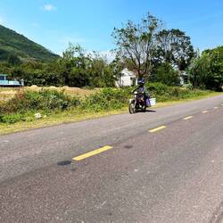 Everything on the scooters