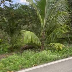 Collectivofahrt durch Chiapas