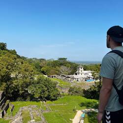 Blick von den Ruinen über den Dschungel