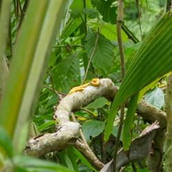 Leider ein bisschen weit weg🐍