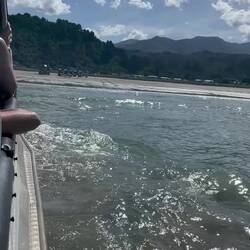 Mit dem Trekker wieder an Land