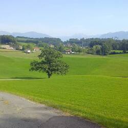 das Voralpenland voraus