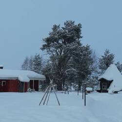 Auf dem Farmgelände