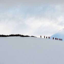 Passengers from Hurtigruten's Roald Amundsen hiking down from a hard-to-get-to gentoo rookery.