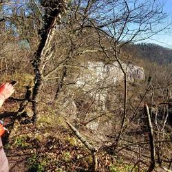 Hoch über dem Rhein!