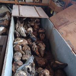 😵‍💫Was für ein Geruch