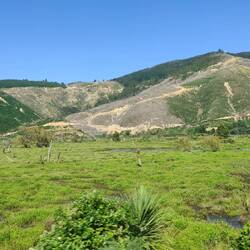 ...Und schöne Berglandschaft.