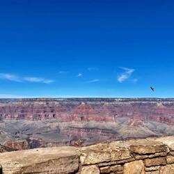 The ravens flying in the canyon