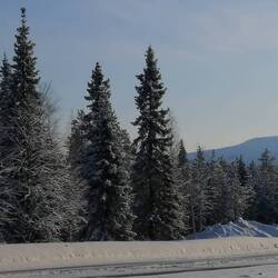 Der Levi-Berg im Hintergrund