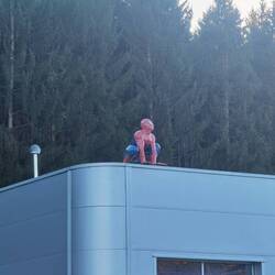Spiderman wacht über alles