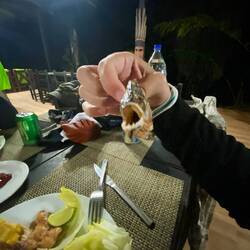 Unsere kleinen selbstgefangenen Piranhas