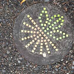 So. Dieses kleine Pflänzchen führt uns nun durch den botanischen Garten Wellington's.