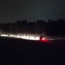 Und das sind auch keine Nordlichter.