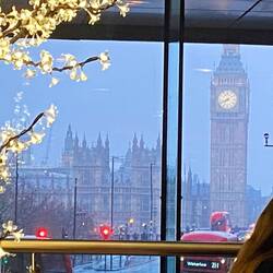 The view from breakfast this morning