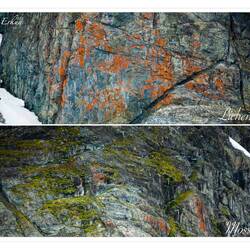 Color on the cliff sides — Errera Channel, Antarctica.