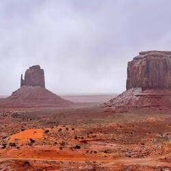 Didn't take long for the snow to disappear