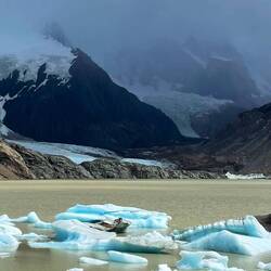 Abgebrochenenes Eis in der Laguna Torre, rechts der Torre-Gletscher