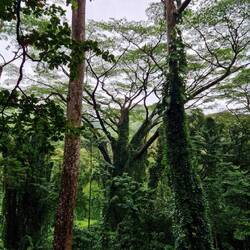 Märchenhafter Trail!