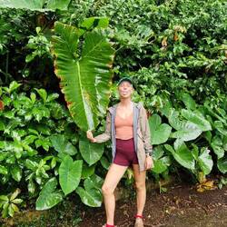 Blatt in Nina-Größe