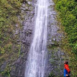 Aloha Manoa Falls!