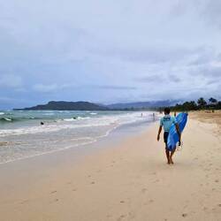 Wolf checkt die Wellen aus