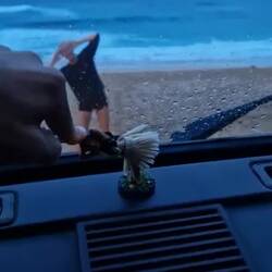 Hula Girl 1 und Hula Girl 2 am Sandy Beach