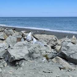 Da ist er endlich - der Strand.