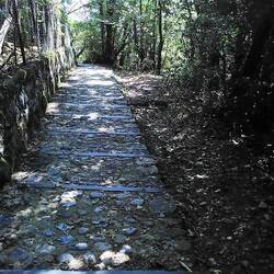 "Um nach Morcote zu gelangen, musst Du tausend Stufen steigen"