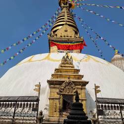 Big Buddha is watching you