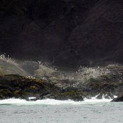 Chinstrap penguin colony ... Deception Island — South Shetland Islands, Antarctica.