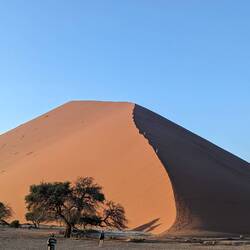 Dune 40!