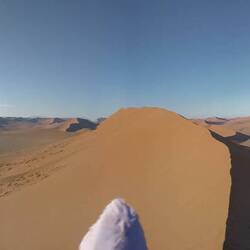 Our morning panorama.