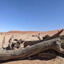 One of the "coolest shots", according to a guide.