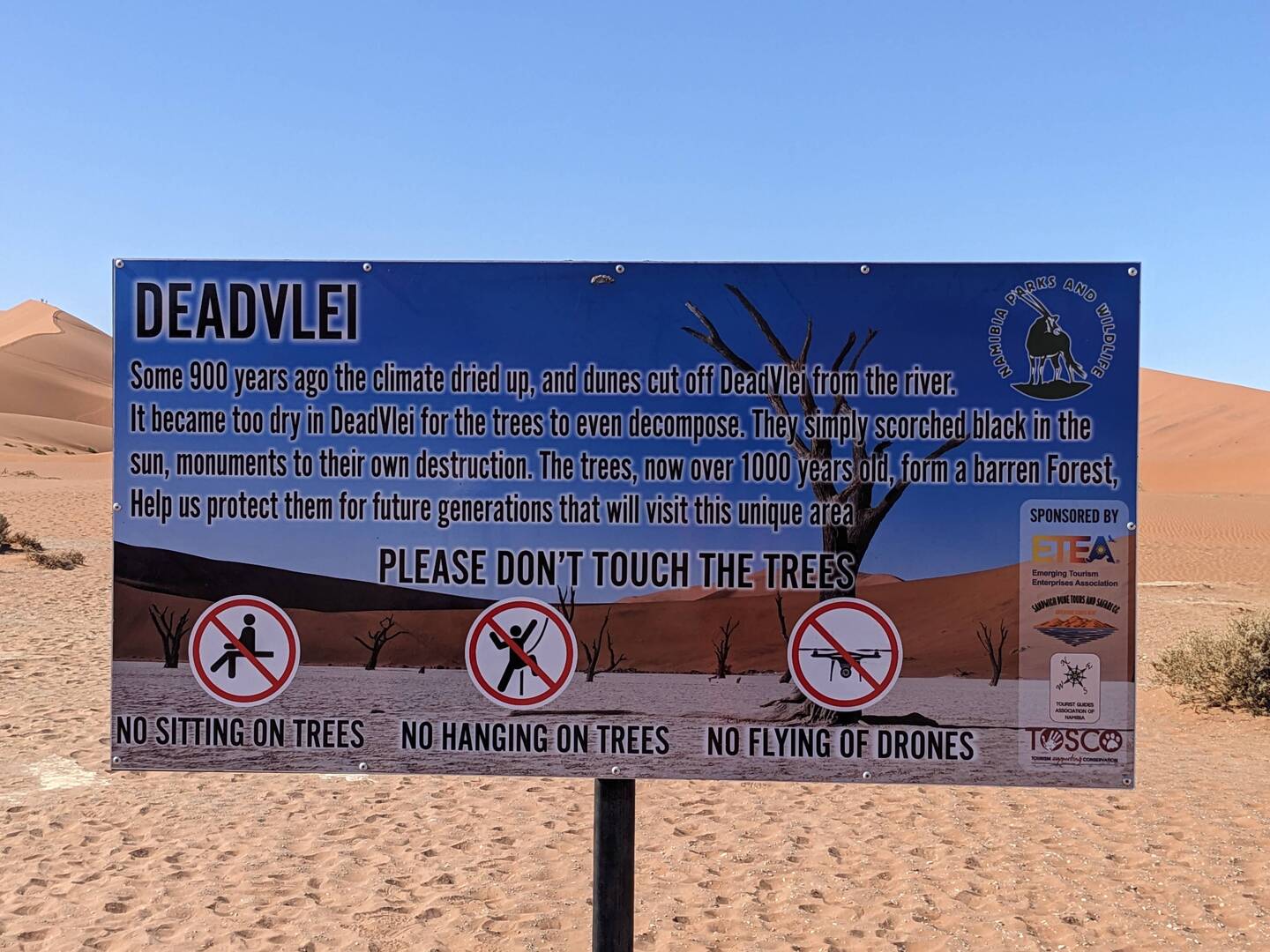 The official story of the deadvlei.