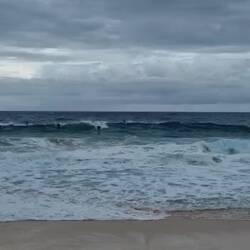 Sandy Beach und die verrückten Body Boarder