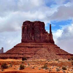 West Mitten